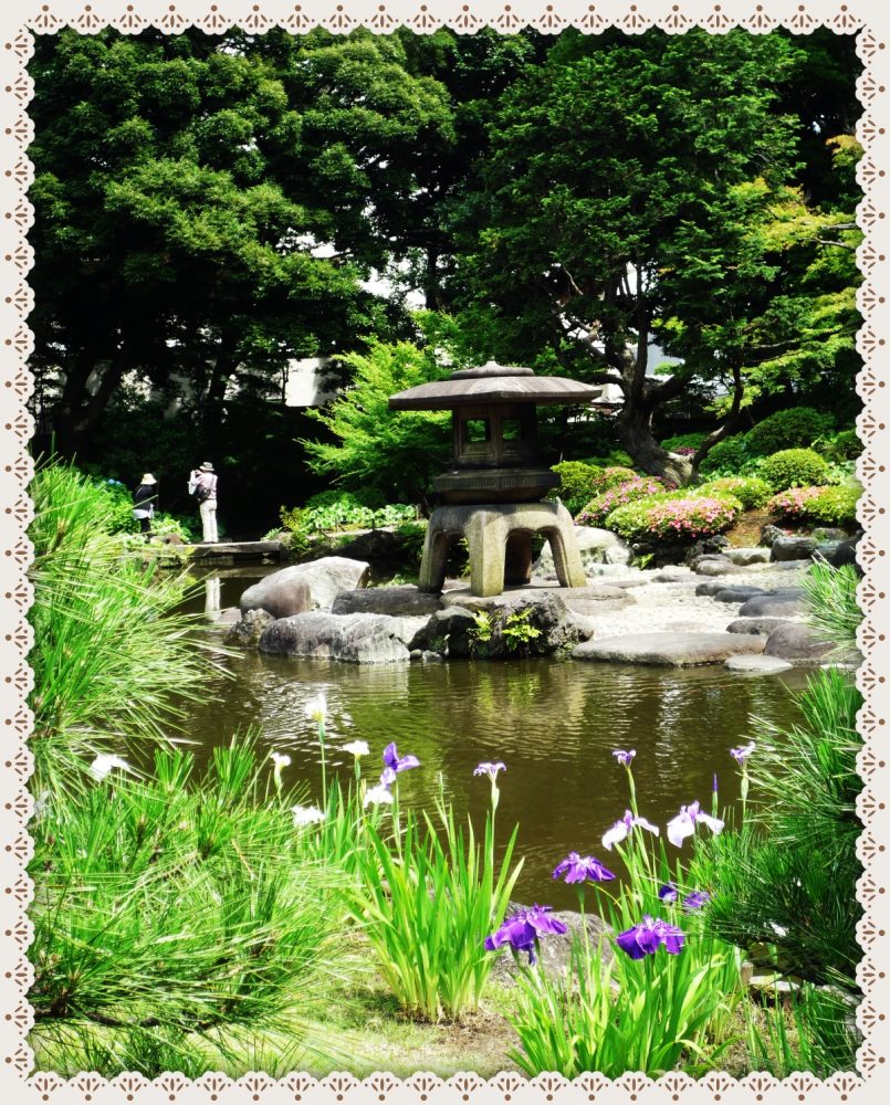 旧古河庭園 日本庭園